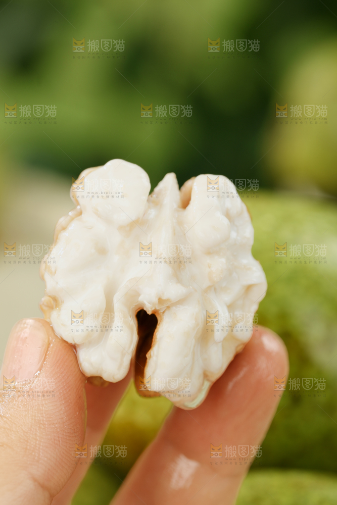 新鲜核桃