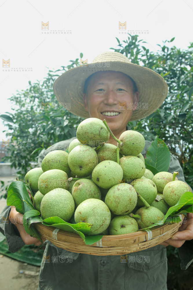 新鲜核桃