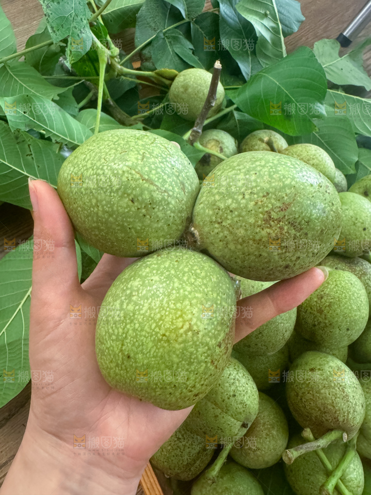 新鲜核桃