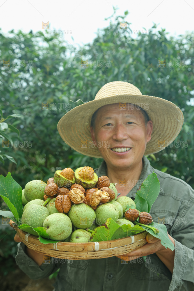 新鲜核桃