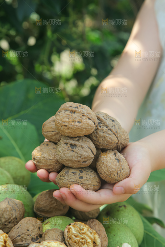 新鲜核桃