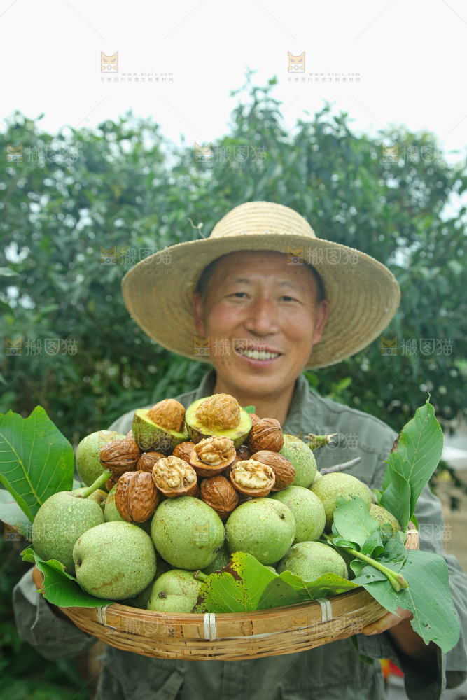 新鲜核桃