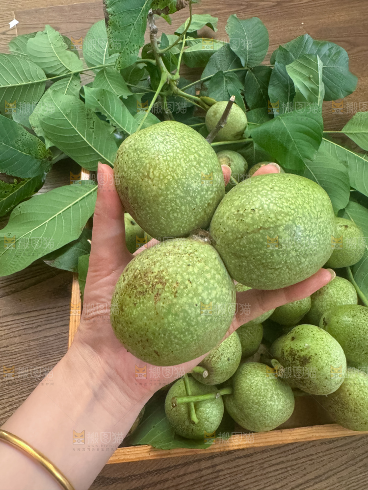 新鲜核桃