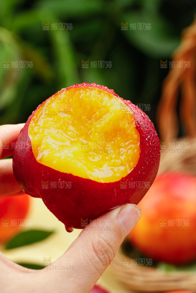 油桃