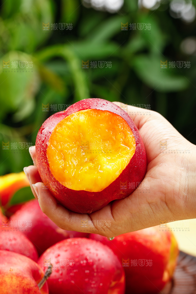 油桃