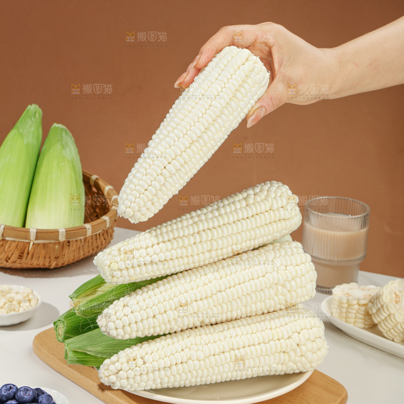 白糯玉米