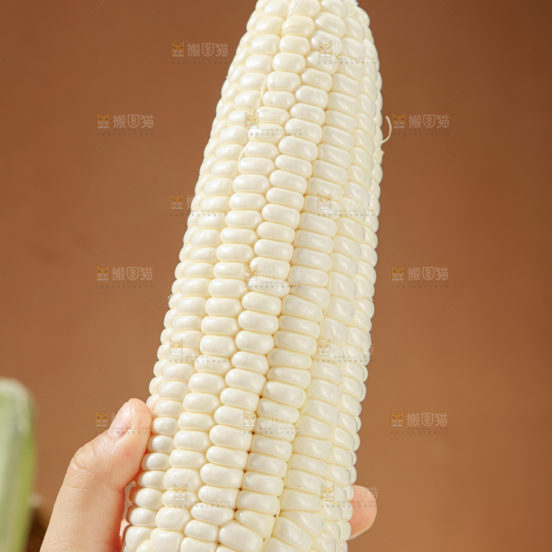 白糯玉米