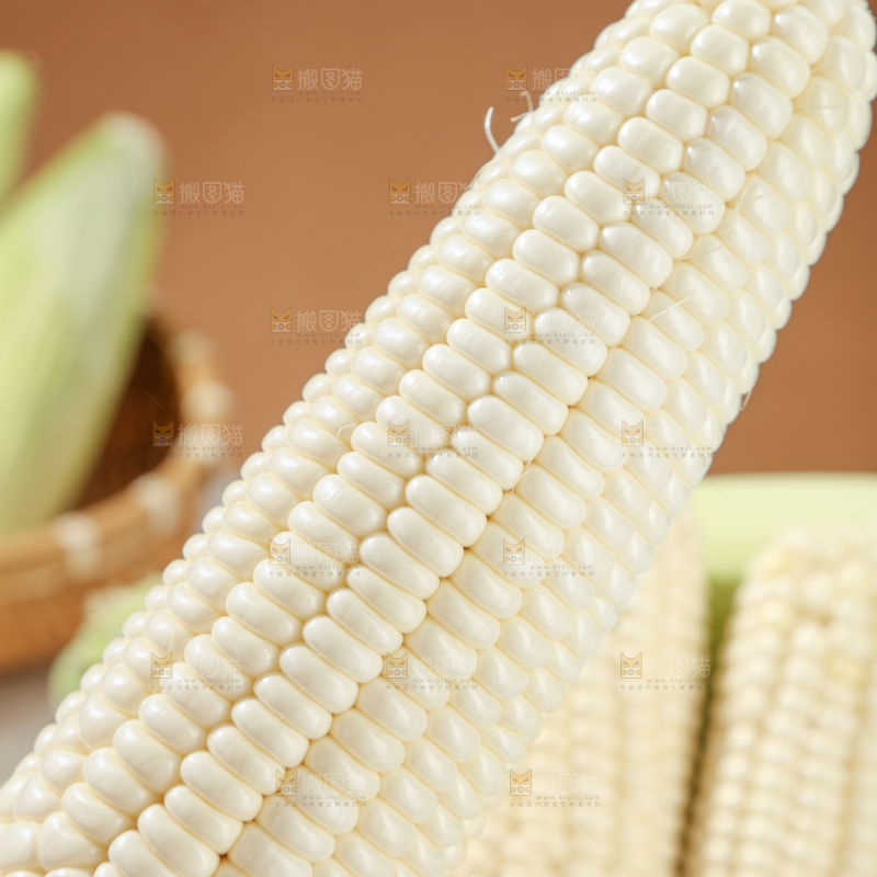 白糯玉米