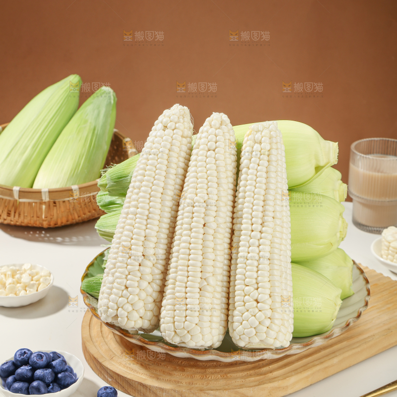 白糯玉米