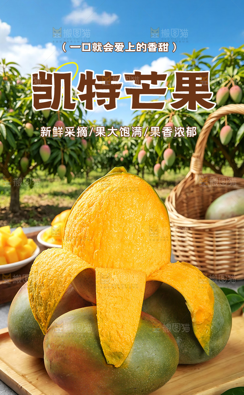 凯特芒详情页