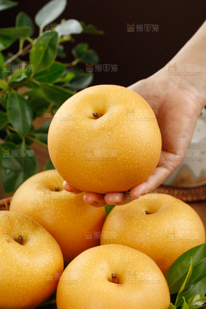 秋月梨