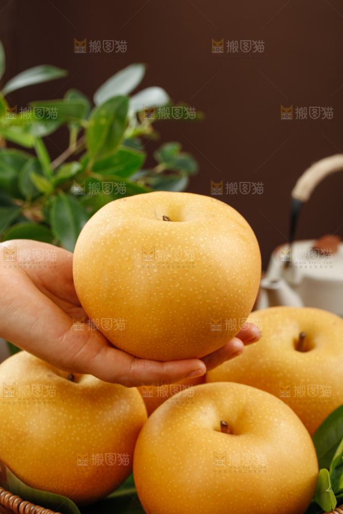 秋月梨