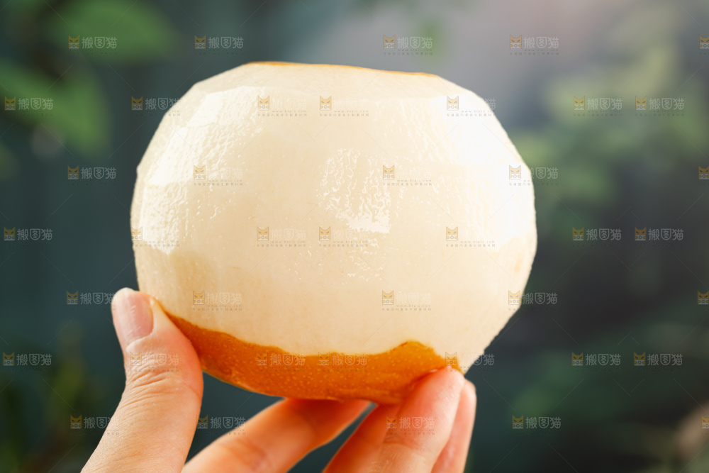 秋月梨
