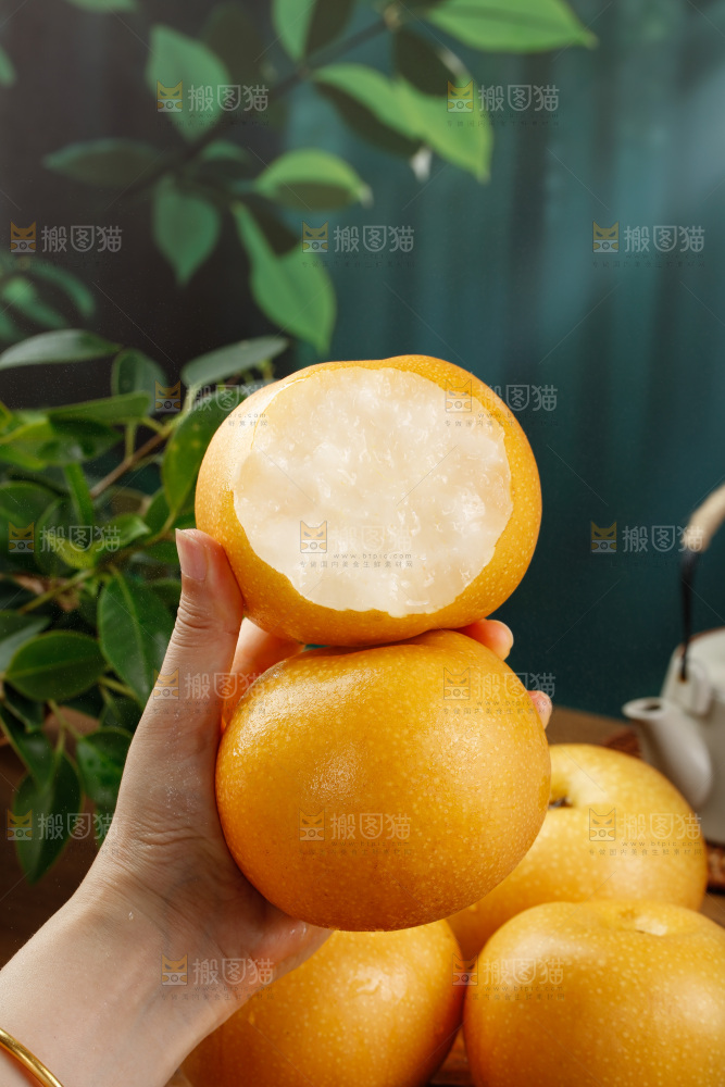 秋月梨