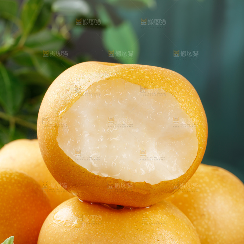 秋月梨