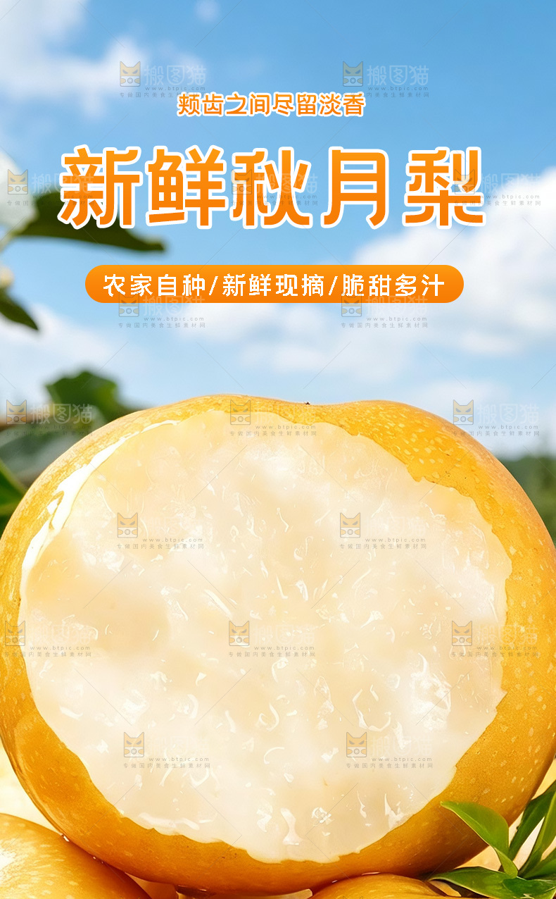 秋月梨详情页