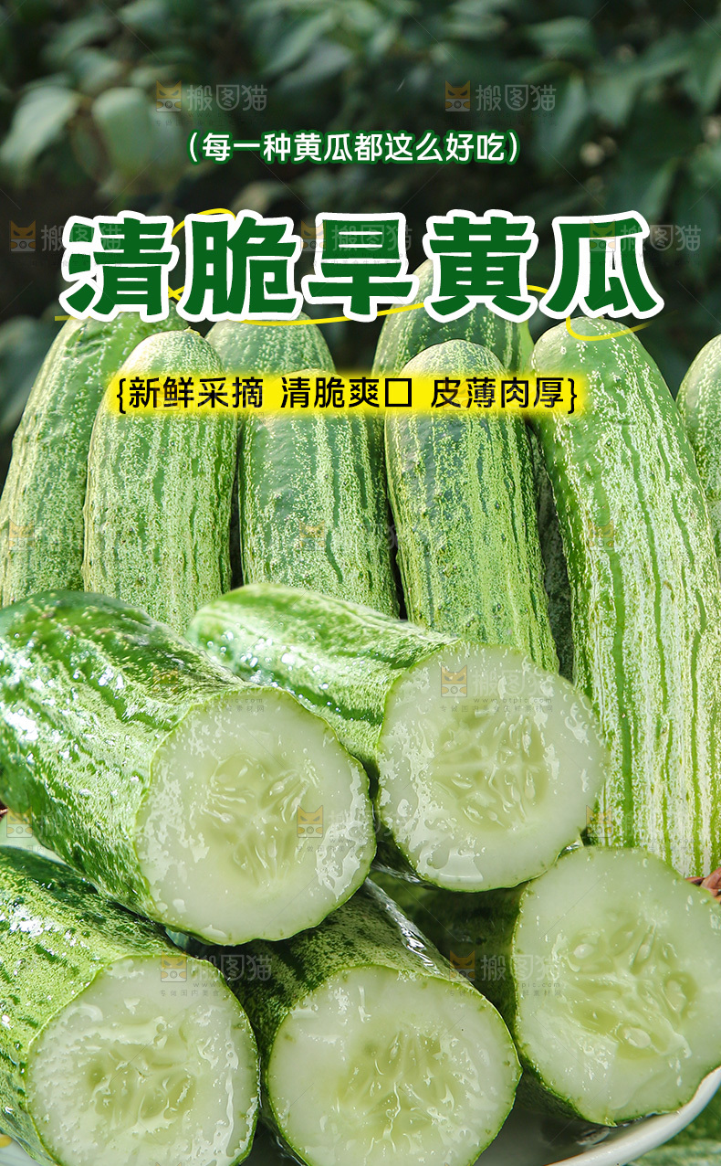 旱黄瓜详情页