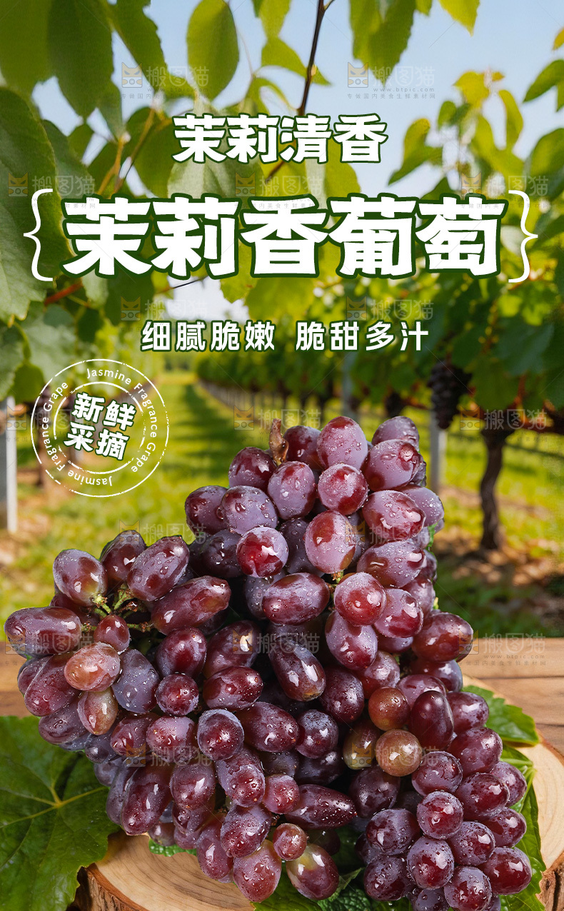 茉莉香葡萄详情页