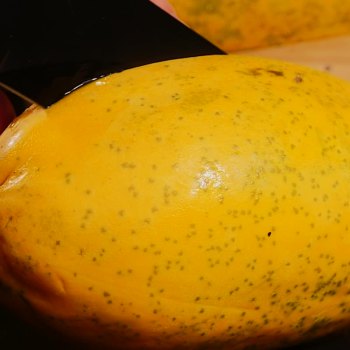 红心木瓜